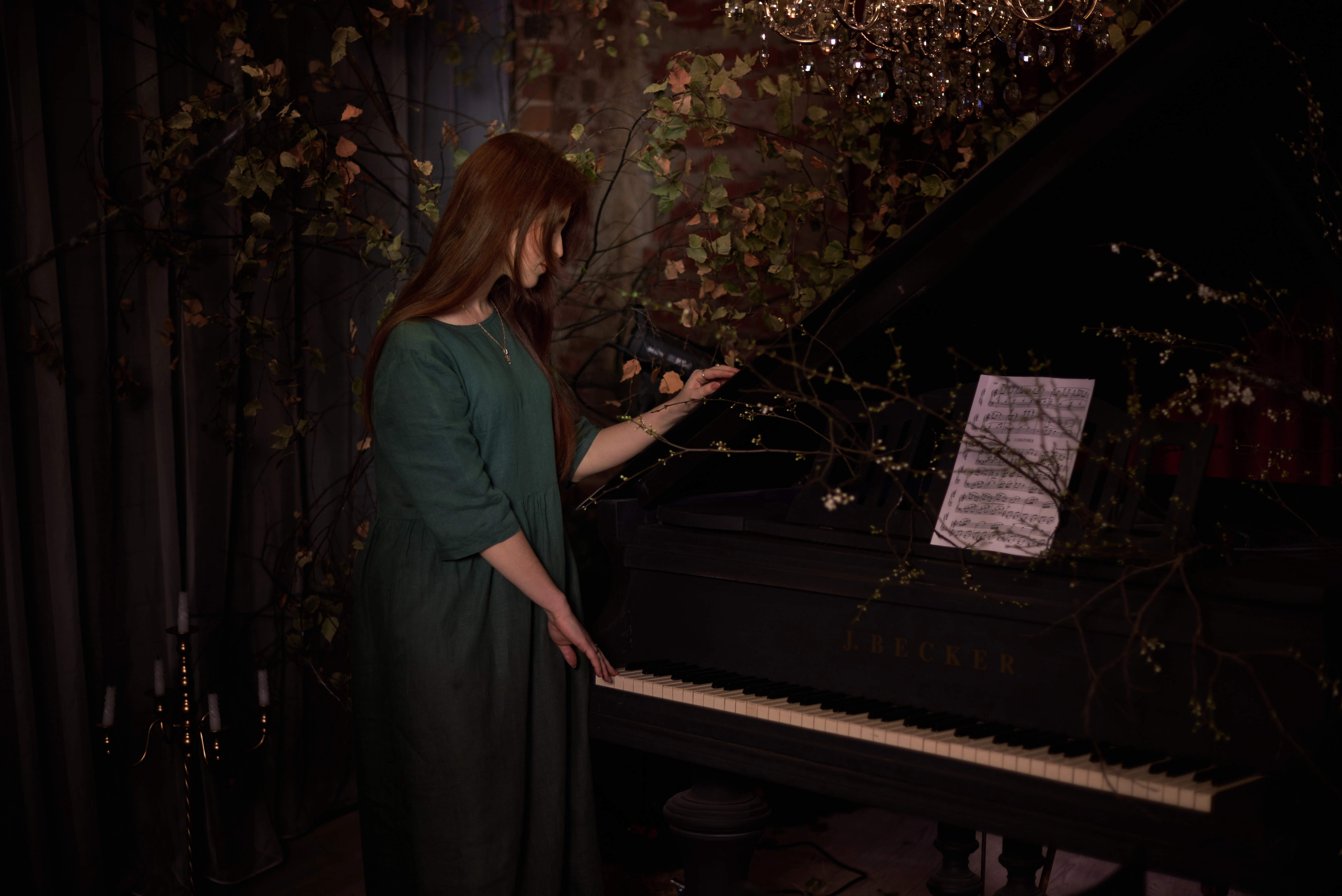 Тень на кавишах